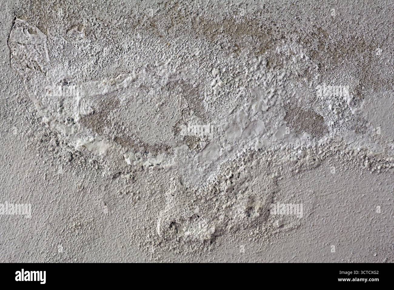 Parete con efflorescenza di Saltpeter causata dall'umidità in aumento Foto Stock
