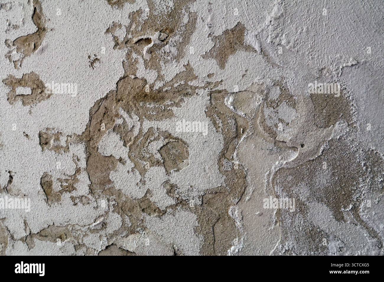 Parete con efflorescenza di Saltpeter causata dall'umidità in aumento Foto Stock