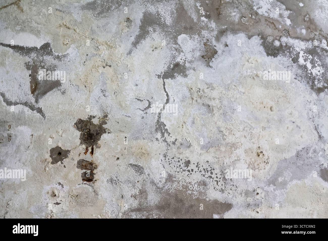 Pareti gravemente danneggiate con macchie umide e efflorescenza di Saltpeter causata dall'aumento dell'umidità capillare Foto Stock