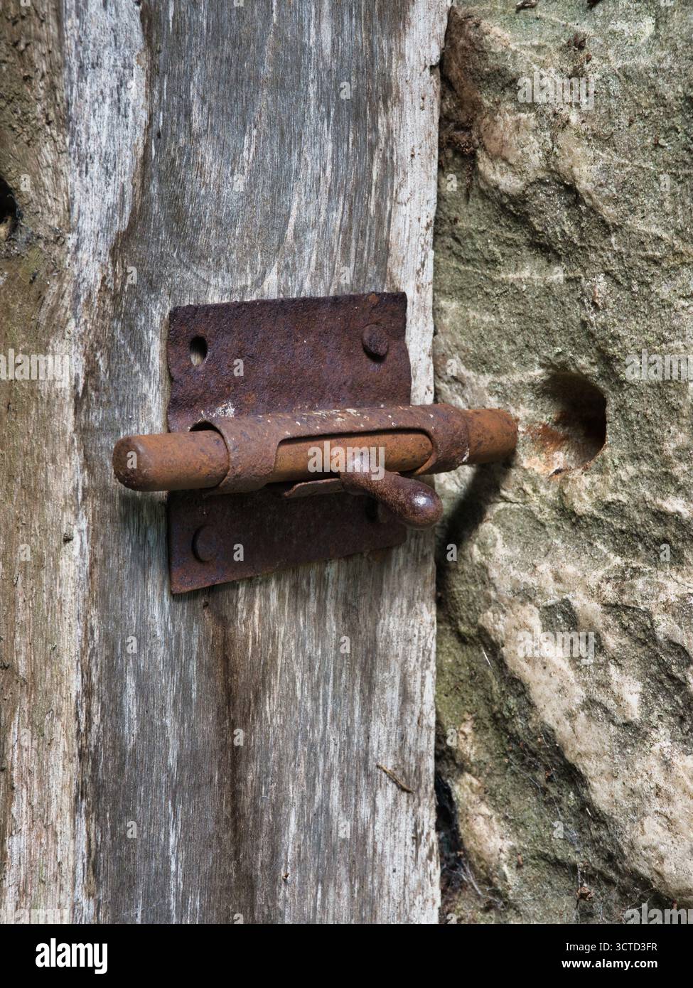 Chiavistello in metallo arrugginito su porta in legno resistente agli agenti atmosferici - primo piano estremo di un bullone scorrevole in ferro corroso contro tavole in legno grezzo e grigio e un muro in pietra. Foto Stock