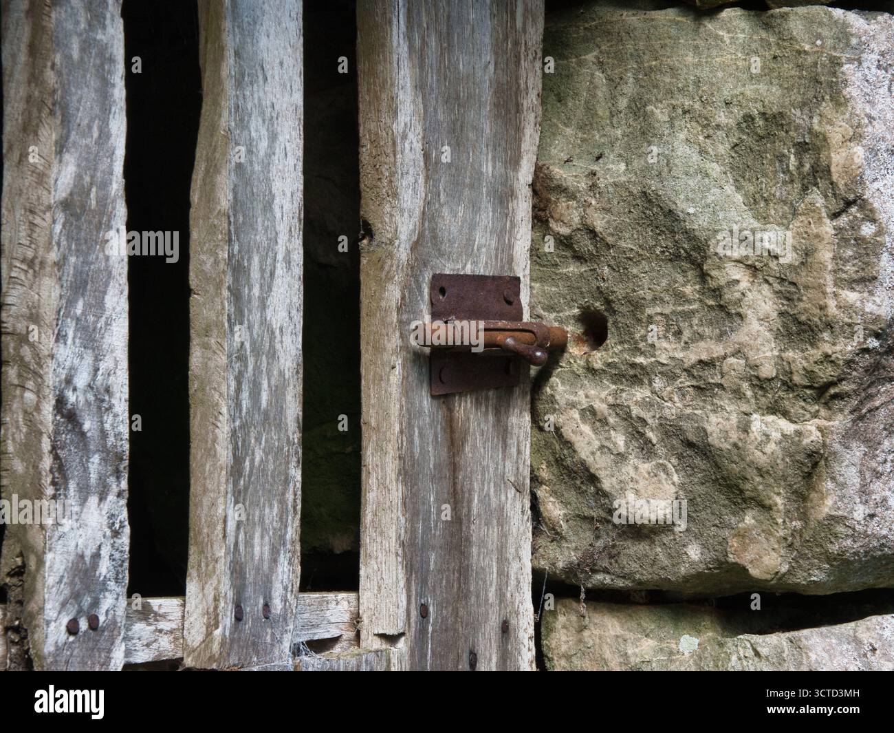 Serratura in metallo ossidato su legno e pietra antichi - primo piano di un bullone scorrevole pesantemente arrugginito contro tavole di legno intemperie e una struttura ruvida della parete in pietra. Foto Stock