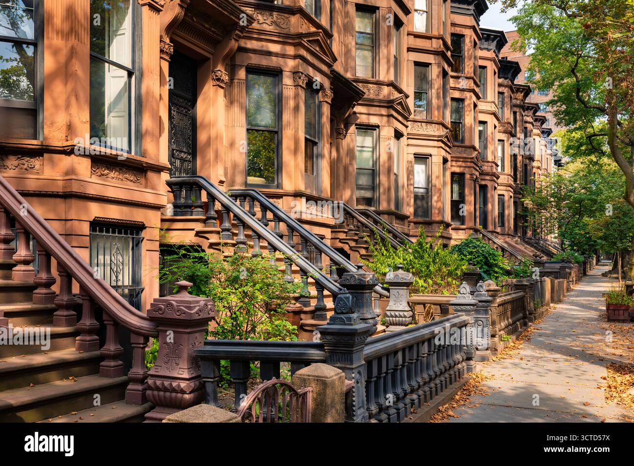 Fila di case in pietra bruna nel quartiere storico di Park Slope, Brooklyn. Architettura residenziale classica a New York City, Stati Uniti Foto Stock