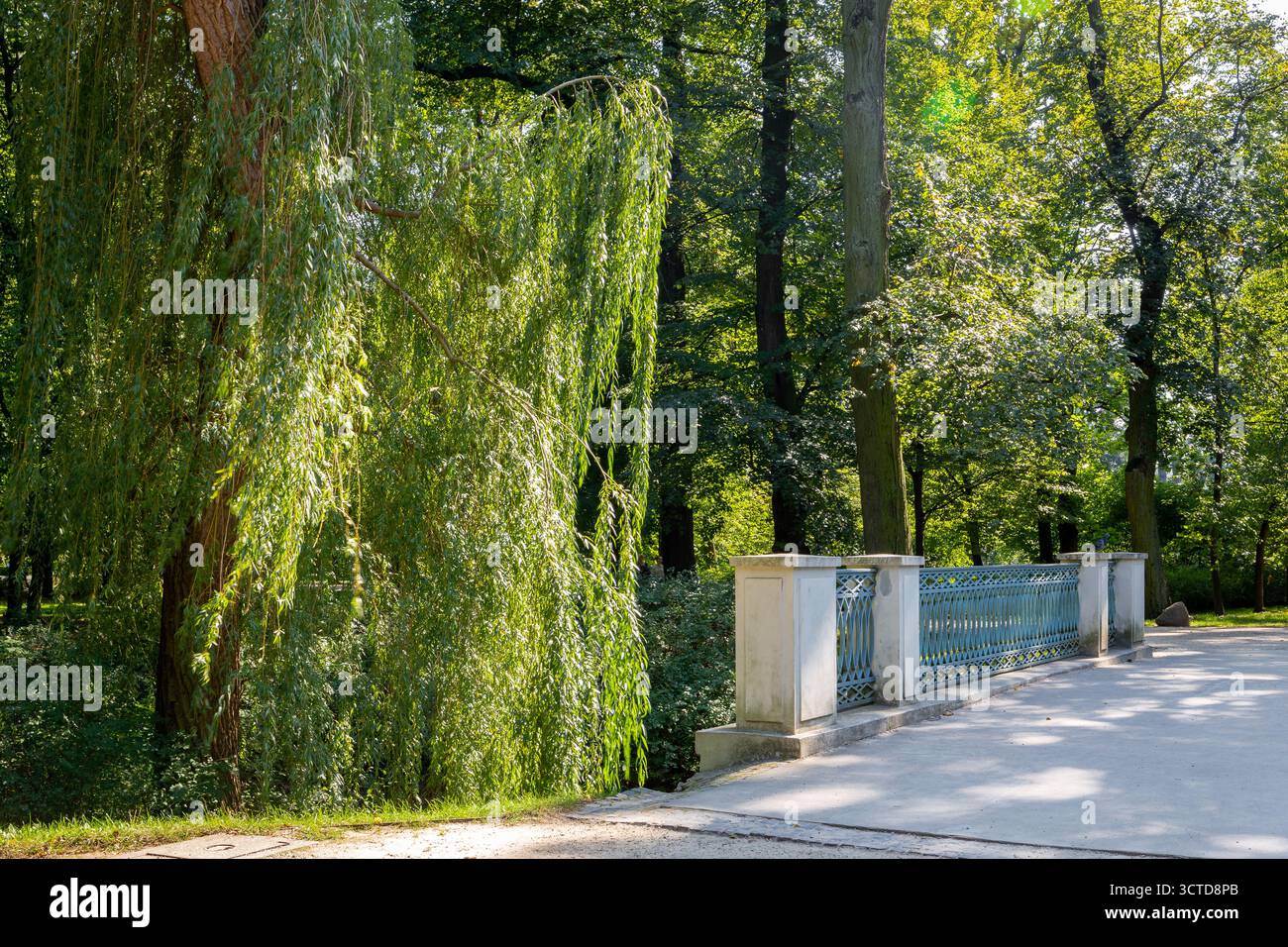 Parco reale delle terme di Varsavia (Lazienki Krolewskie), vista panoramica con ponte in pietra e salici piangenti, Varsavia, Polonia. Foto Stock