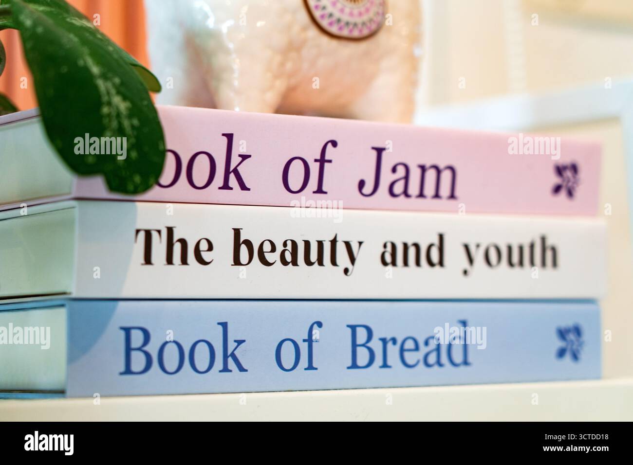 Un'affascinante pila di libri d'epoca intitolati "Book of Jam", "The Beauty and Youth" e "Book of Pread" organizzati in modo creativo. Foto Stock