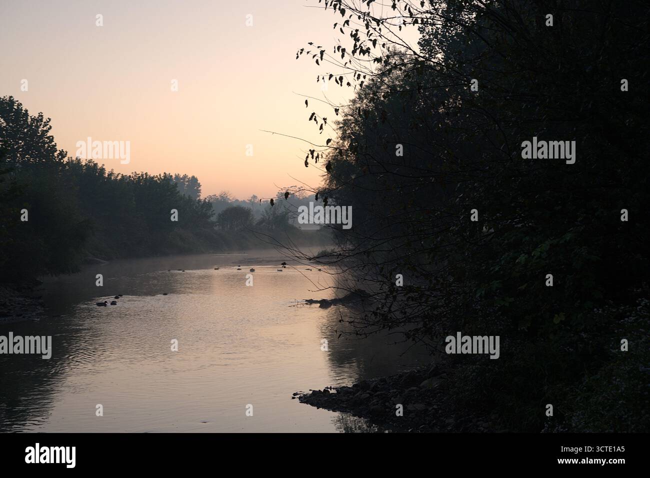 Anatre che nuotano nel Mill creek Landcastor pennsylvania Foto Stock