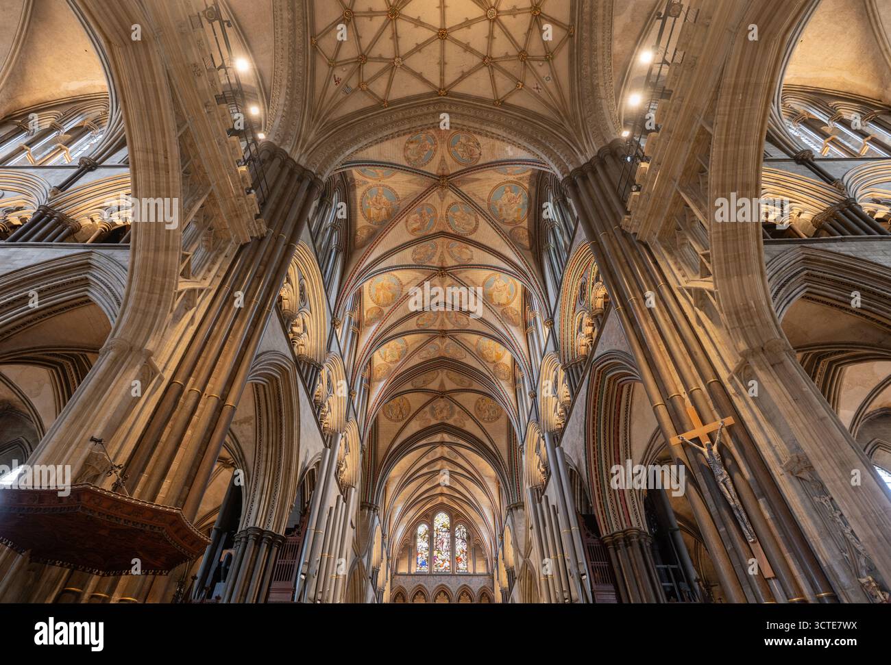 Salisbury, Wiltshire, Regno Unito: Interno della cattedrale di Salisbury con soffitto a volta e colonne Foto Stock