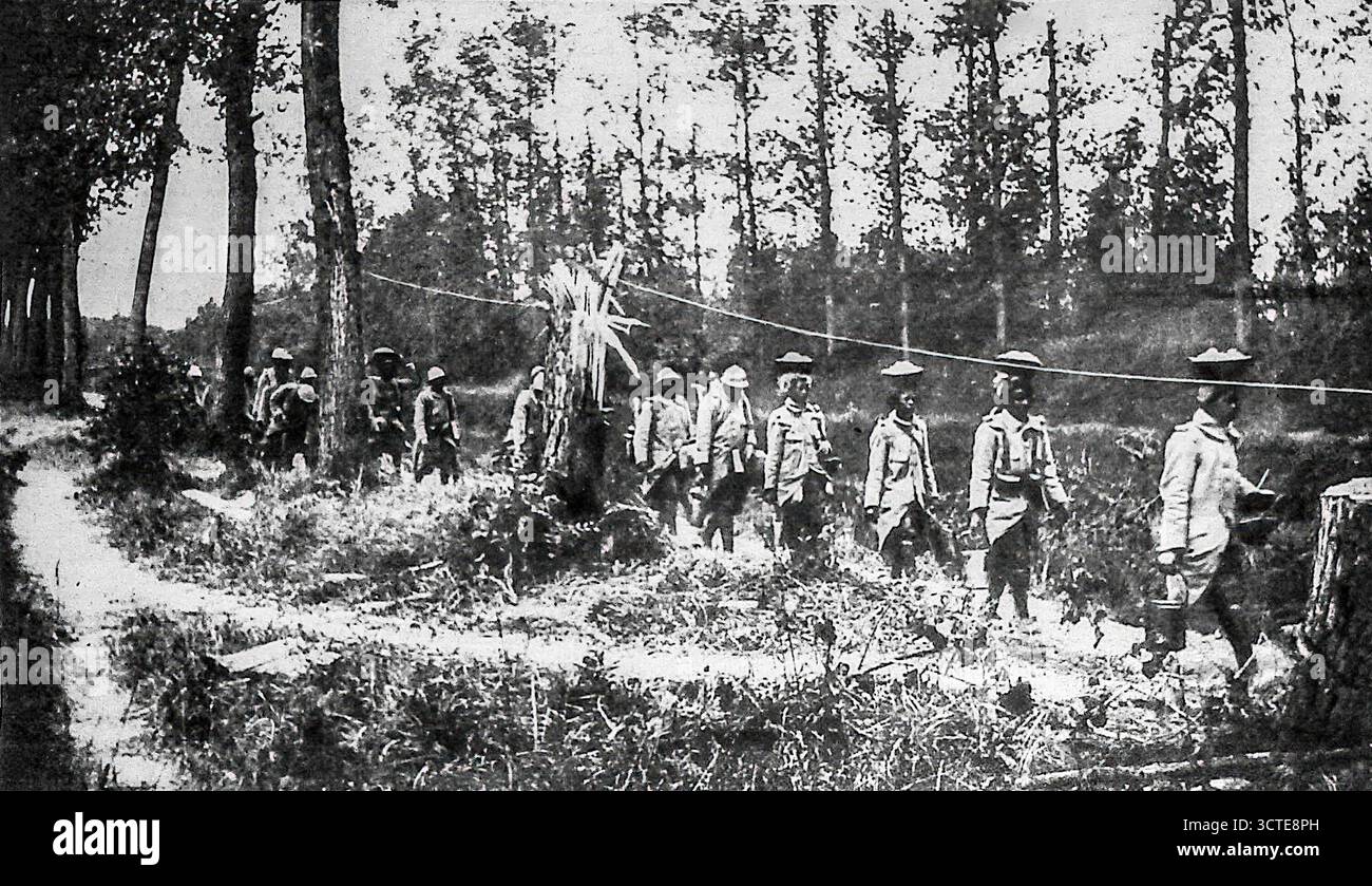 Fotografia pubblicata su le Miroir, novembre 1916, che mostra i Tirailleurs Noirs coloniali dell'esercito francese sul fronte somme durante la prima guerra mondiale. I soldati marciano in un unico file attraverso i boschi della Piccardia, trasportando provviste durante la campagna. Le truppe africane, provenienti in gran parte dall'Africa occidentale e centrale, svolsero un ruolo cruciale nelle battaglie sul fronte occidentale Franceís. Questa immagine mette in evidenza il loro servizio e il loro contributo allo sforzo bellico. Foto Stock