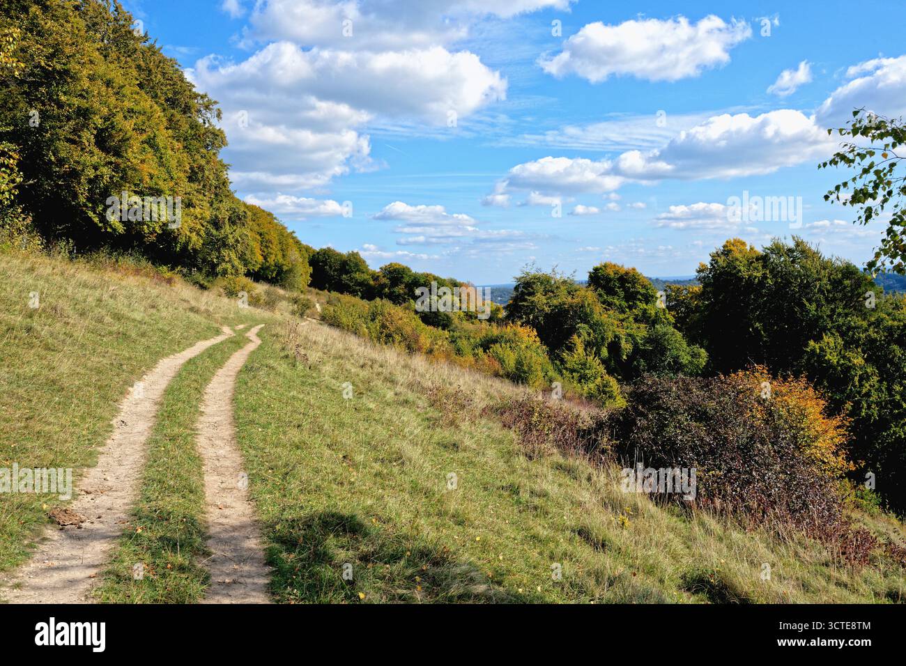 North Downs a Ranmore Common in una giornata di sole autunnale vicino a Dorking, Surrey, Inghilterra, Regno Unito Foto Stock
