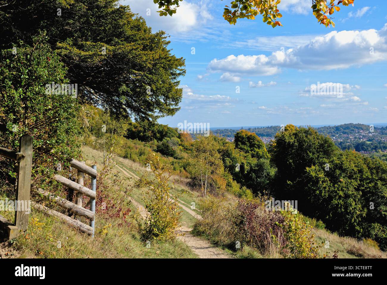 North Downs a Ranmore Common in una giornata di sole autunnale vicino a Dorking, Surrey, Inghilterra, Regno Unito Foto Stock
