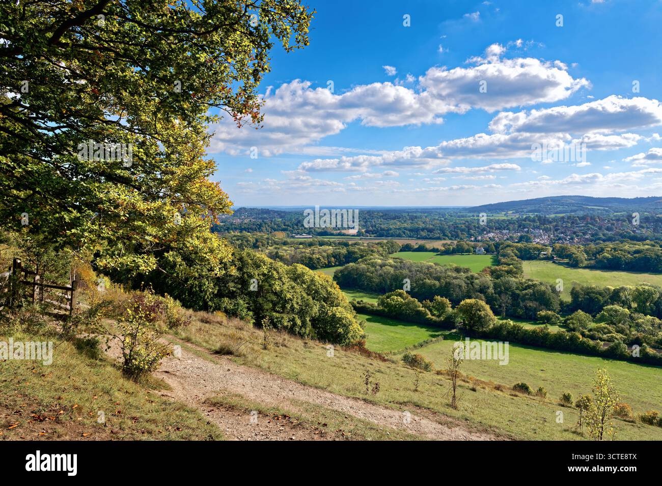 North Downs a Ranmore Common in una giornata di sole autunnale vicino a Dorking, Surrey, Inghilterra, Regno Unito Foto Stock