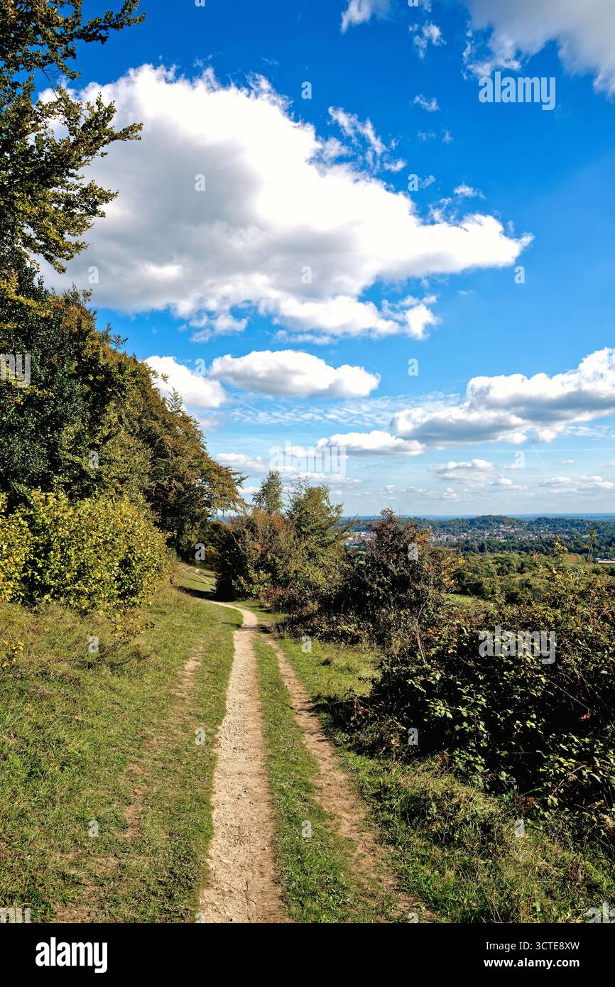 North Downs a Ranmore Common in una giornata di sole autunnale vicino a Dorking, Surrey, Inghilterra, Regno Unito Foto Stock