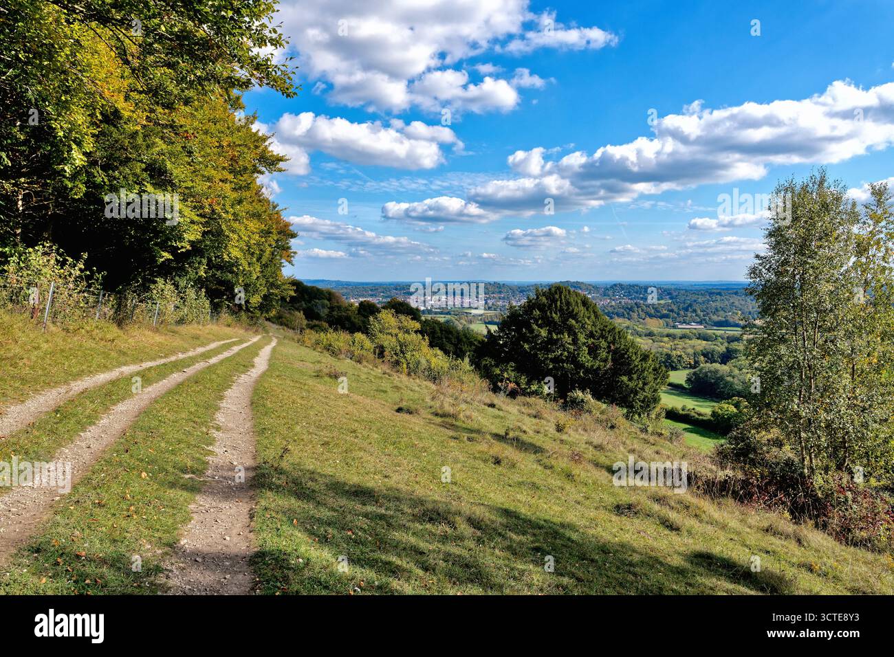 North Downs a Ranmore Common in una giornata di sole autunnale vicino a Dorking, Surrey, Inghilterra, Regno Unito Foto Stock