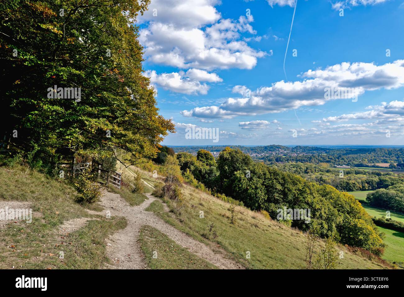 North Downs a Ranmore Common in una giornata di sole autunnale vicino a Dorking, Surrey, Inghilterra, Regno Unito Foto Stock