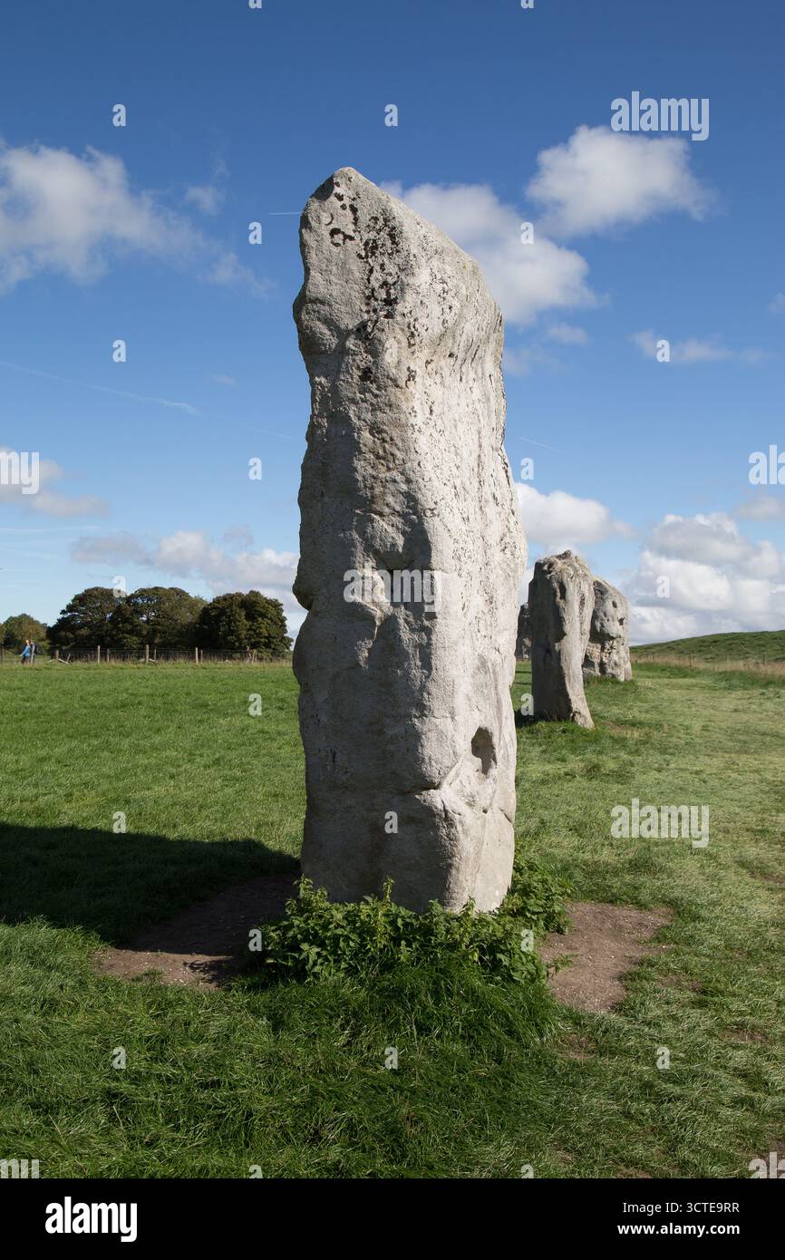 Avebury Henge e cerchi di pietra Foto Stock