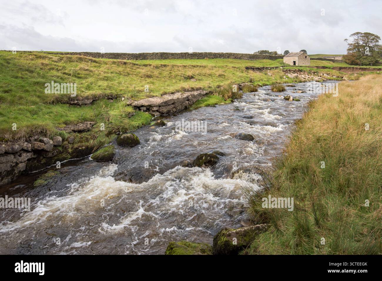 L'acqua torna ai livelli autunnali/invernali più normali dopo un periodo secco (ottobre 2025), Long Preston Beck North Yorkshire, Foto Stock