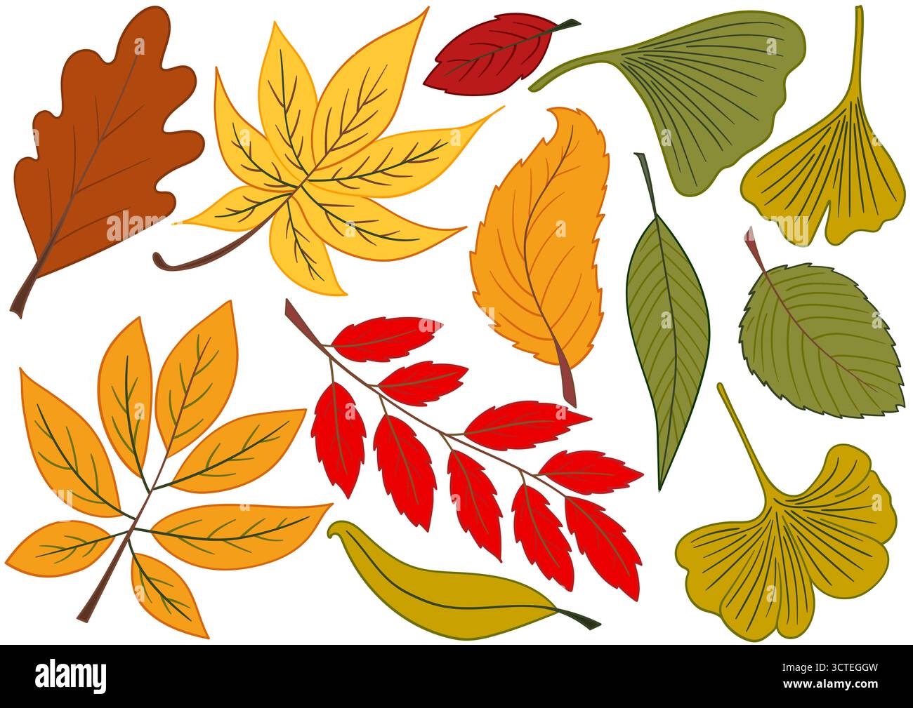 Foglie d'autunno. Set di illustrazioni a colori in stile disegno a mano. Design per cartoline, volantini, striscioni, decorazioni per le stanze. Icone, cartelli, adesivi, logo Illustrazione Vettoriale