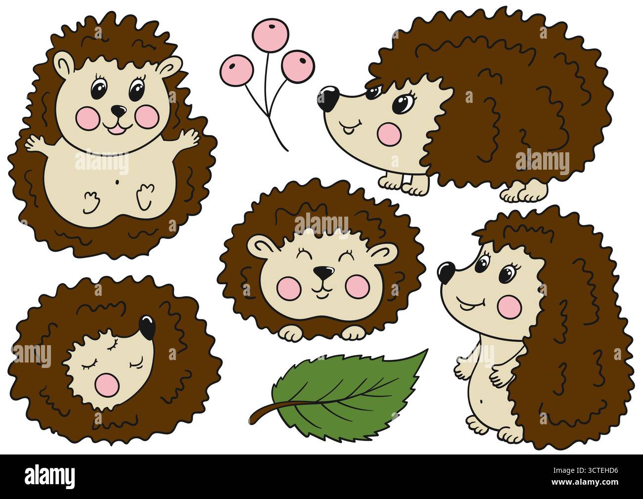 Ricci. Set di illustrazioni a colori in stile disegno a mano. Contorno nero. Design per cartoline, volantini, striscioni, decorazioni per le stanze. Icone, cartelli, adesivi Illustrazione Vettoriale