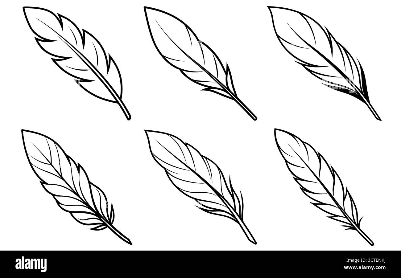 Collezione di disegni in piuma bianco e nero Illustrazione Vettoriale