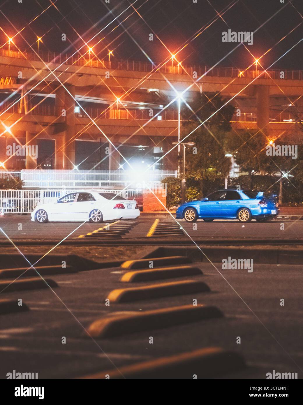 Yokohama, Giappone - 27 febbraio 2025: Vista delle eleganti auto bianche e blu parcheggiate nell'area di parcheggio Daikoku, scintillanti sotto le luci dell'autostrada sopraelevata. Foto Stock