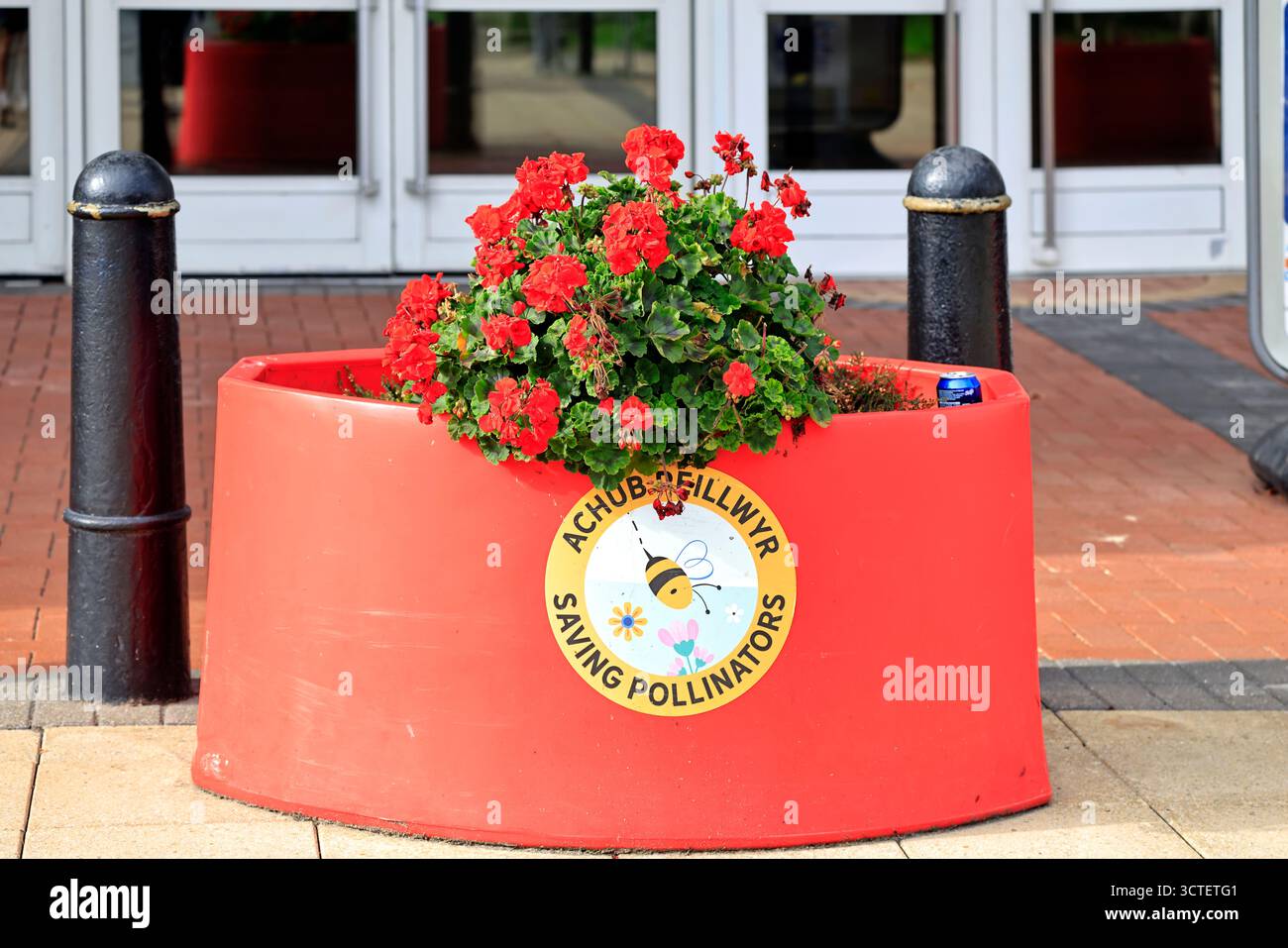 Salvando gli impollinatori / Achub Peillwyr - insegna bilingue al Red Dragon Centre, Cardiff Bay, Galles del Sud, Regno Unito. Foto Stock