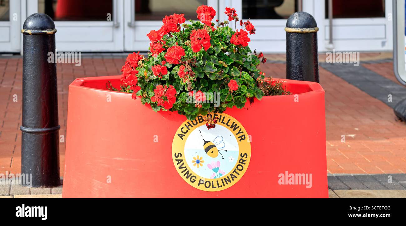 Salvando gli impollinatori / Achub Peillwyr - insegna bilingue al Red Dragon Centre, Cardiff Bay, Galles del Sud, Regno Unito. Foto Stock