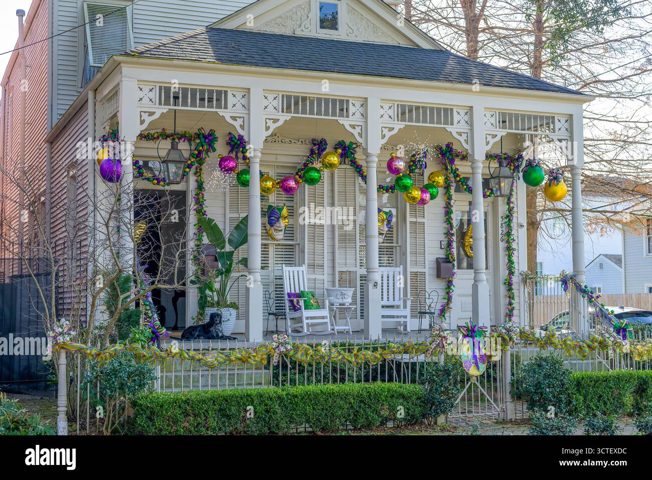 New Orleans, LOUISIANA, Stati Uniti - 31 gennaio 2025: Fronte della storica casa di fucili camelback con decorazioni del Mardi Gras e un cane che riposa sul portico, nel quartiere Uptown Foto Stock