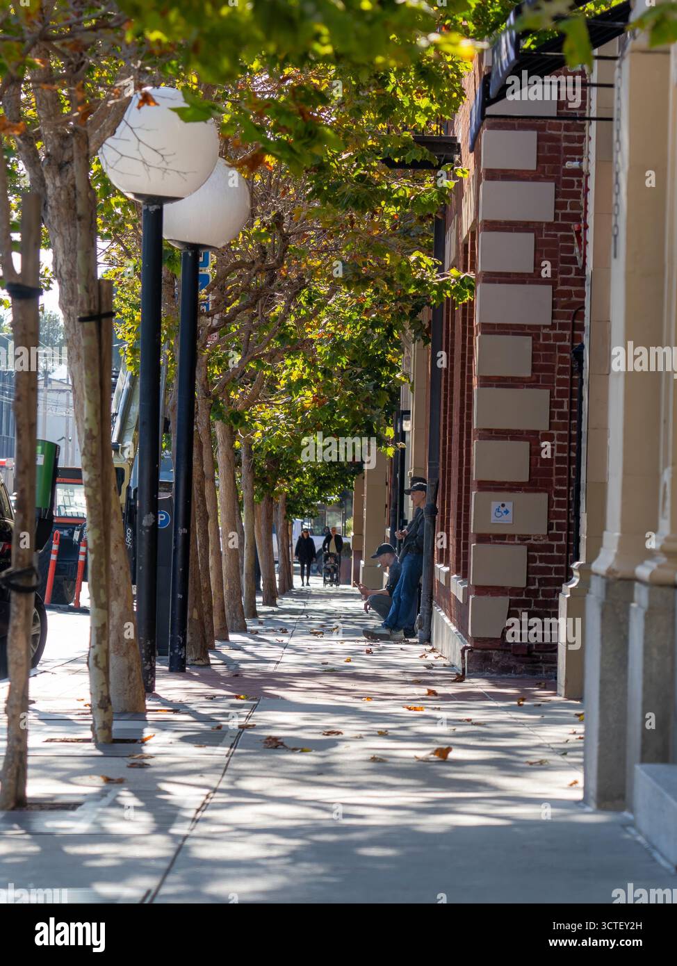 San Francisco, Stati Uniti - 11 settembre 2025: Vista di un marciapiede illuminato dal sole fiancheggiato da alberi e lampade sferiche, che getta ombre in un tranquillo pomeriggio urbano vicino a edifici in mattoni. Foto Stock