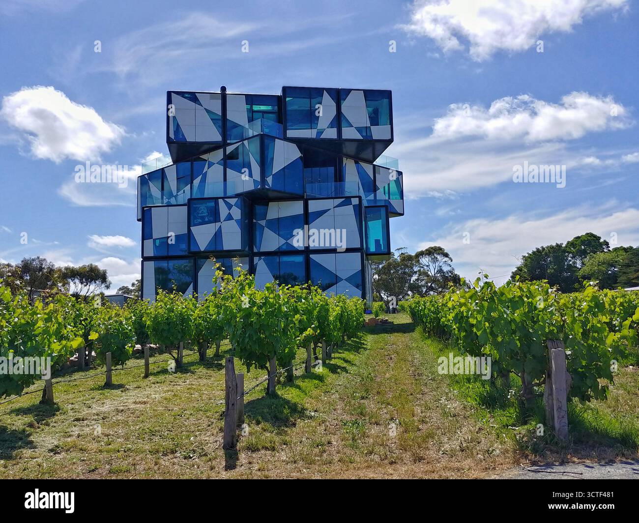 Un edificio moderno e geometrico circondato da un lussureggiante vigneto sotto un cielo azzurro. Foto Stock