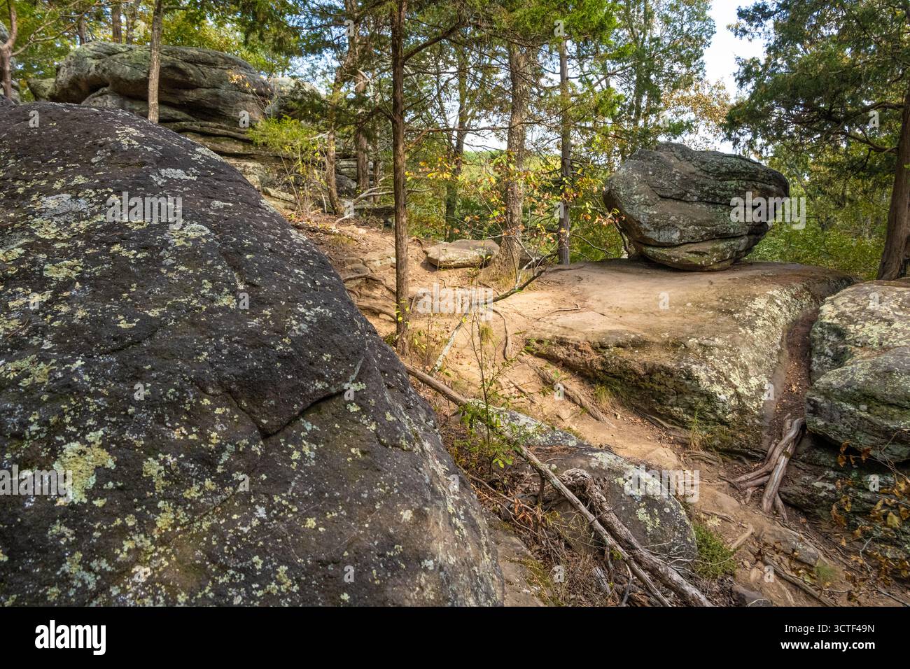 Un masso che riposa lungo il percorso di osservazione al Garden of the Gods nella Shawnee National Forest nell'Illinois meridionale. (USA) Foto Stock
