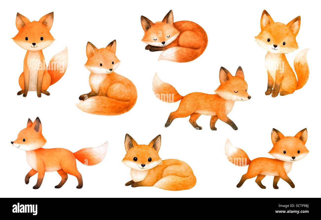 Set Watercolor Fox Clipart – graziose volpi Woodland in arancione e grigio, seduta, sonno e urlo – illustrazioni animali per stampe vivaio, adesivi Foto Stock