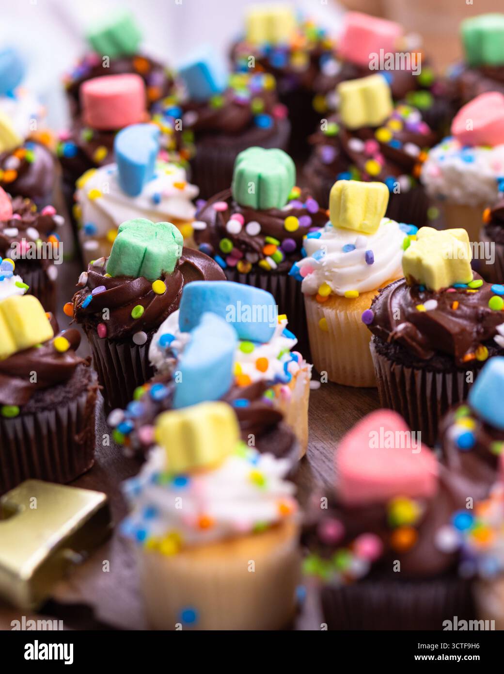 Un variopinto assortimento di cupcake decorati con glassa al cioccolato e alla vaniglia, sprinkles e caramelle al marshmallow. Perfetto per feste e feste Foto Stock