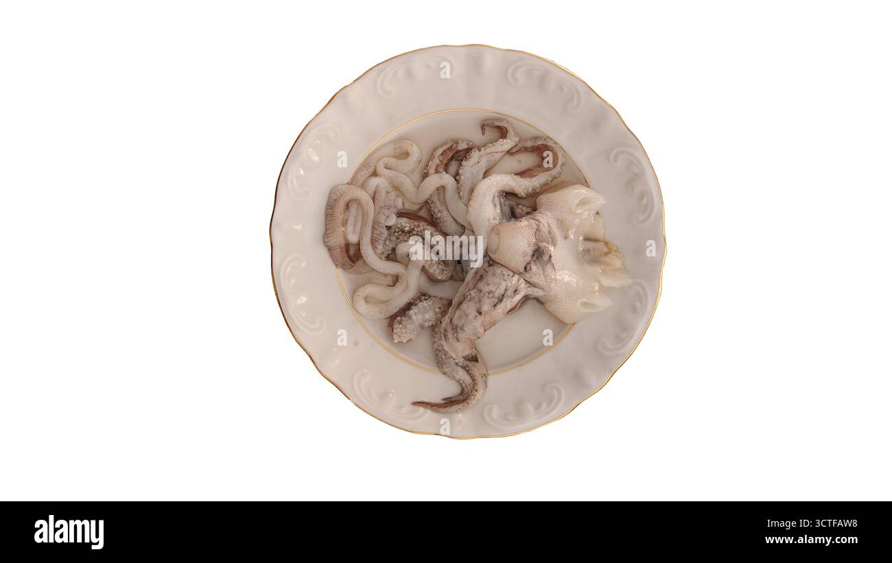 seppia cruda fresca su un piatto. Cottura polpo. Vista dall'alto, primo piano. Foto Stock