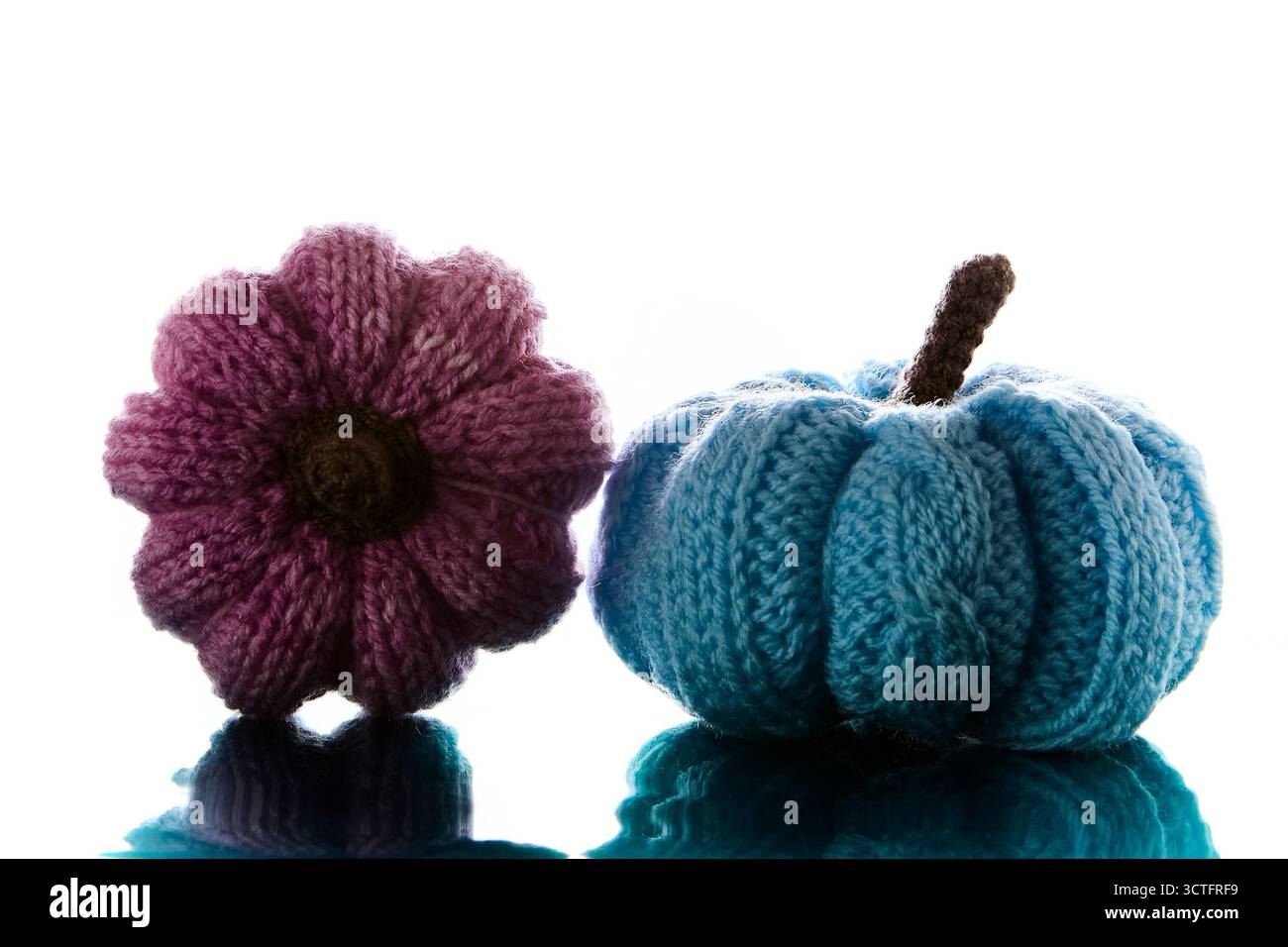 Due zucche lavorate a maglia nei colori rosa e blu affiancate isolate su sfondo bianco che rappresentano il raccolto autunnale e il taglio artigianale di Halloween Foto Stock