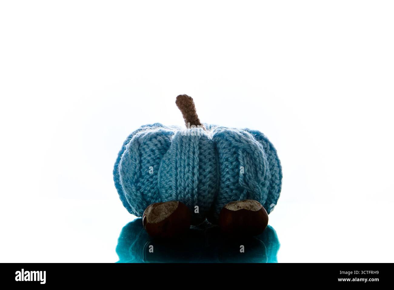 Zucca a maglia blu con castagne disposte su una superficie riflettente isolata su sfondo bianco che simboleggia l'accogliente raccolto autunnale fatto a mano e Halloween Foto Stock