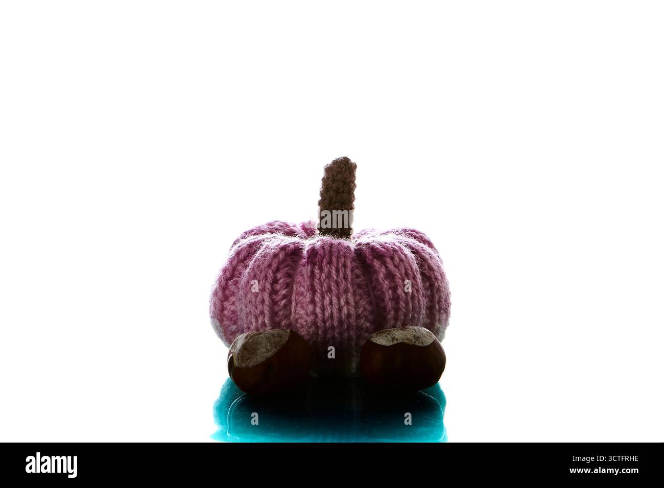 Una zucca blu lavorata a mano su una superficie riflettente isolata su sfondo bianco per un raccolto autunnale e un arredamento di Halloween Foto Stock