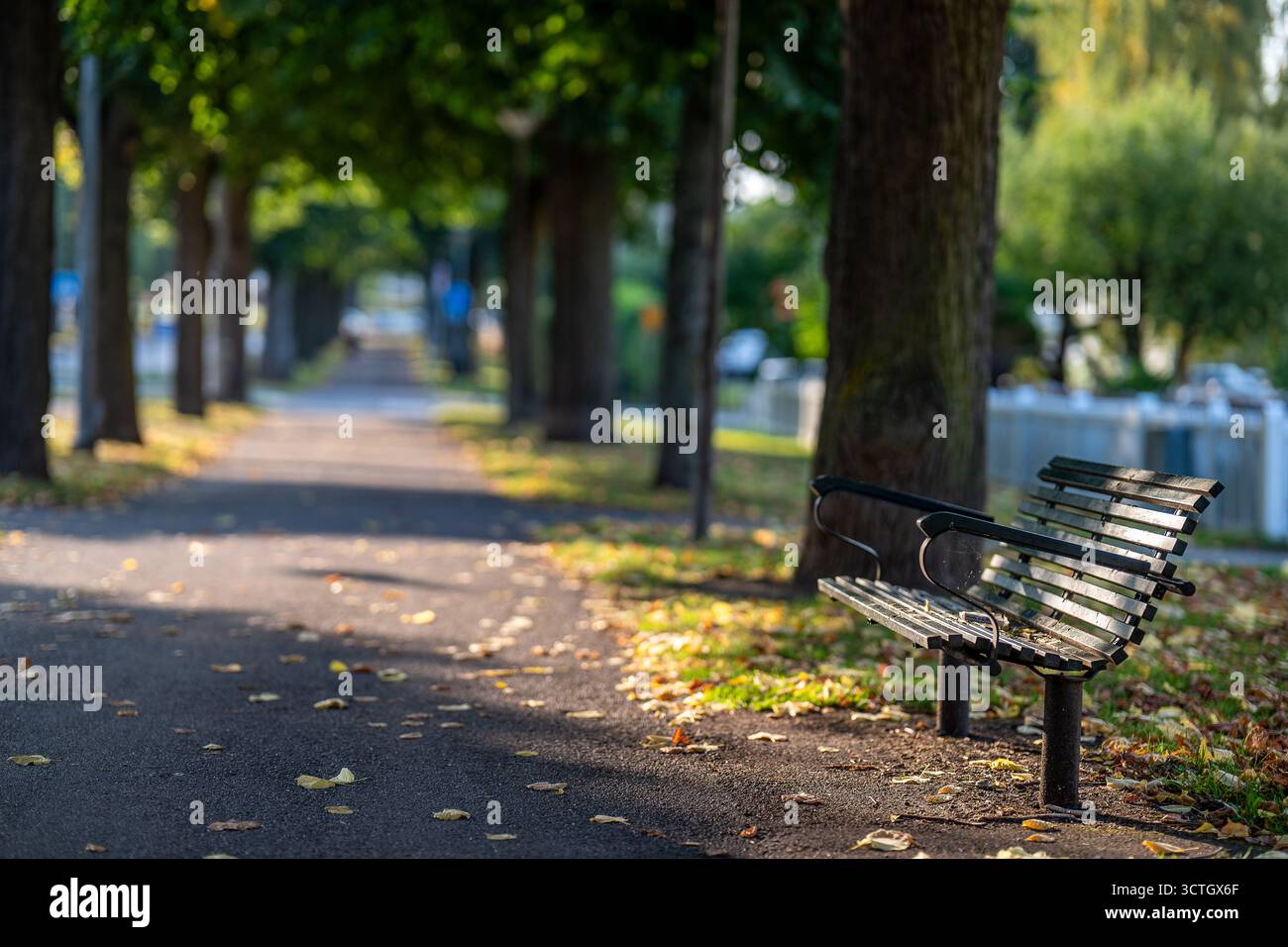 Parcheggia la panchina sulla passeggiata meridionale all'inizio dell'autunno a Norrköping. Svezia. Le Promenadi di Norrkoping sono state ispirate ai viali di Parigi Foto Stock
