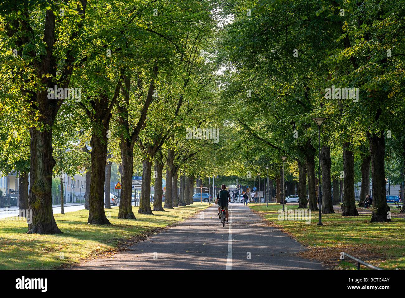 Ciclista sulla passeggiata meridionale all'inizio dell'autunno a Norrköping. Svezia. Le Promenadi di Norrkoping sono state ispirate ai viali di Parigi Foto Stock