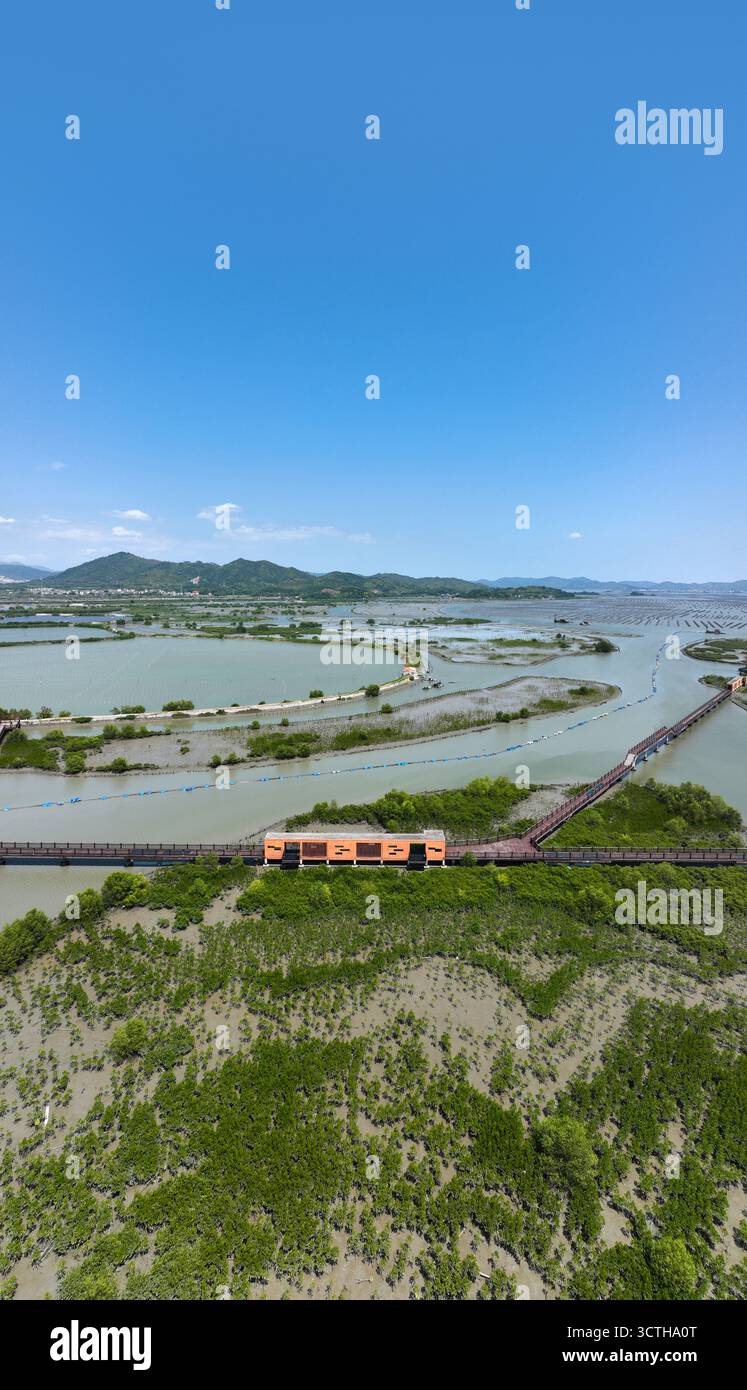 Fotografia aerea del Renshan Mangrove Wetland Park nella contea di Huidong, città di Huizhou Foto Stock