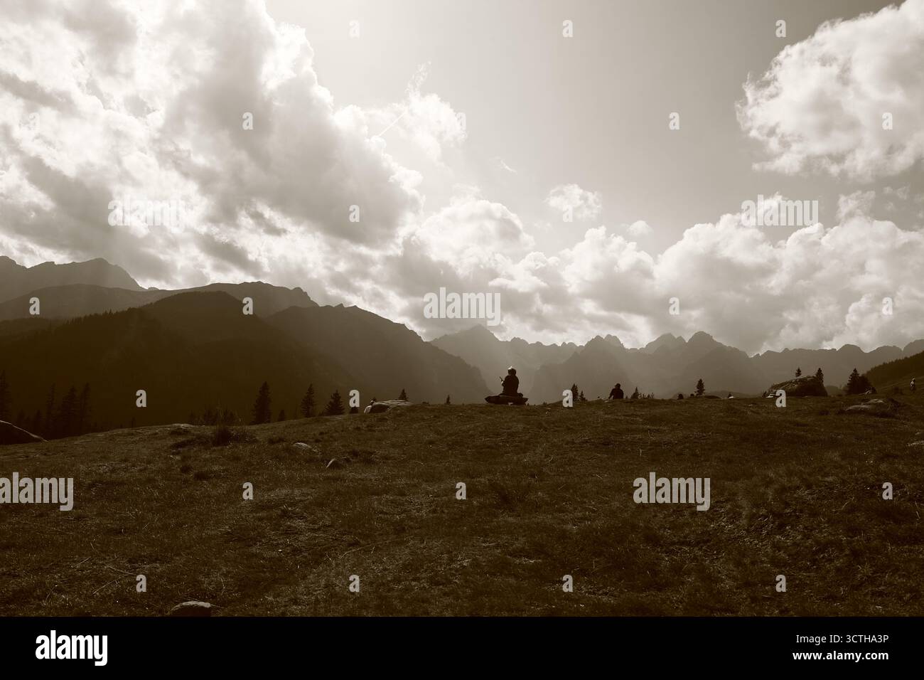 Un paesaggio monocromatico di pace e solitudine in montagna Foto Stock