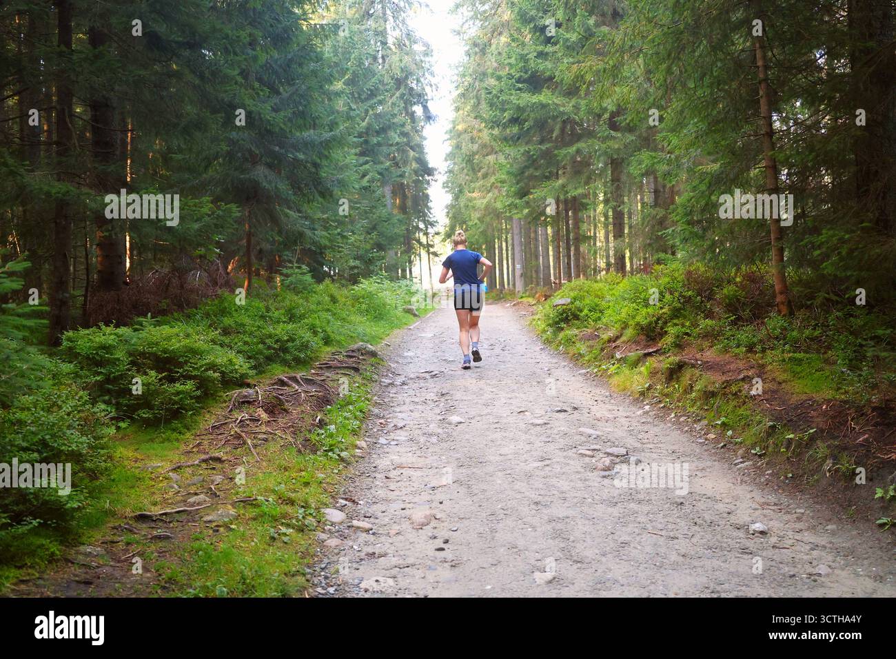 Corridore su un sentiero forestale Foto Stock