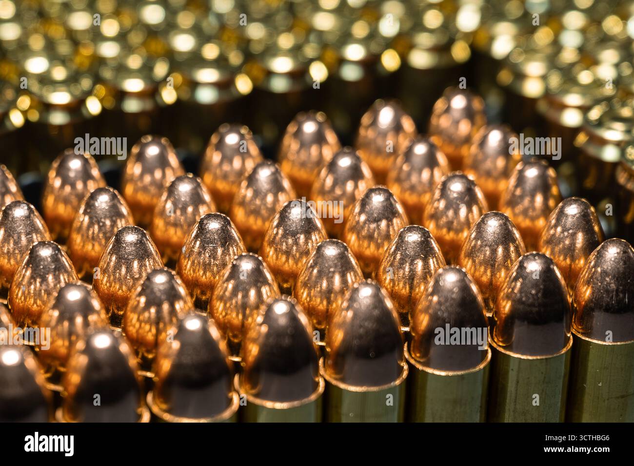 Germania. 1 ottobre 2025. Le cartucce in calibro Luger da 9 mm con proiettili completamente in metallo si trovano in un armadietto di un tiratore sportivo. Il calibro Luger da 9 mm (anche 9 x 19 o Parabellum) è una delle munizioni a pistola più comunemente usate e richiede un permesso in Germania. Crediti: Silas Stein/dpa/Alamy Live News Foto Stock