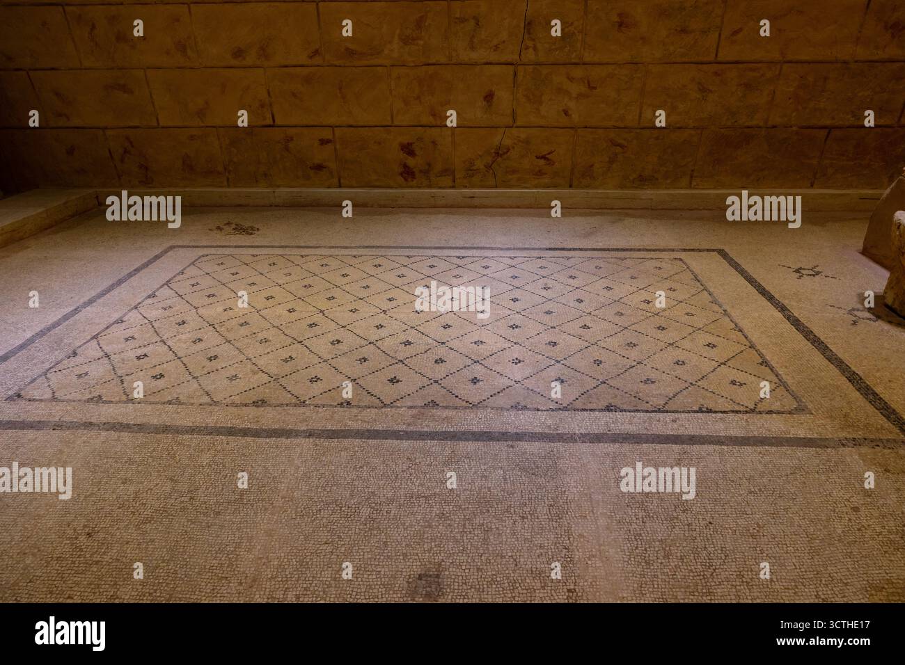 Mosaici del Museo dei mosaici di Zeugma. Gaziantep Turchia - 6.24.2025 Foto Stock