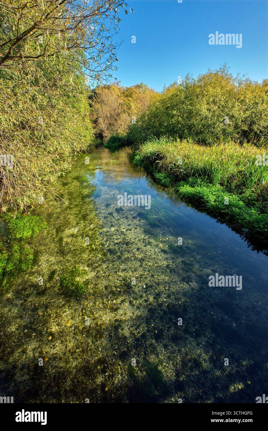 River test vicino a Longparish. Hampshire, Inghilterra. Foto Stock