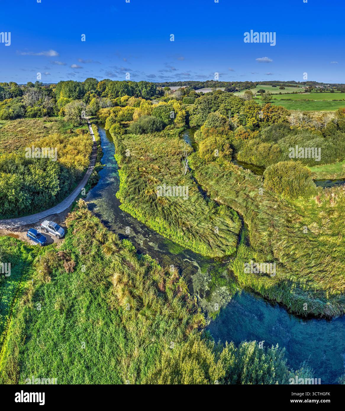 River test vicino a Longparish. Hampshire, Inghilterra. Foto Stock