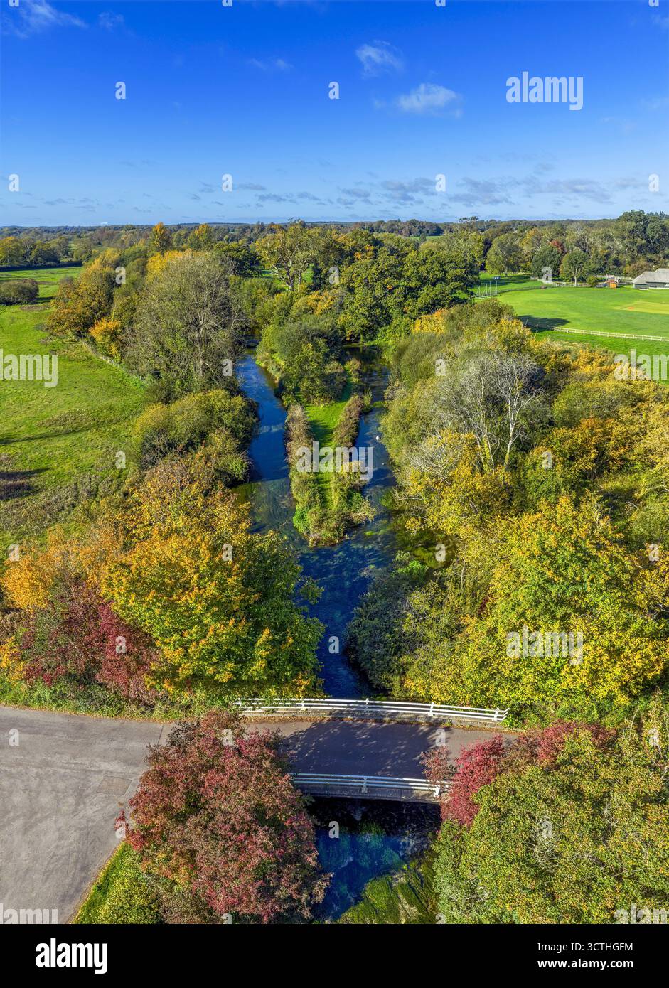 River test vicino a Longparish. Hampshire, Inghilterra. Foto Stock