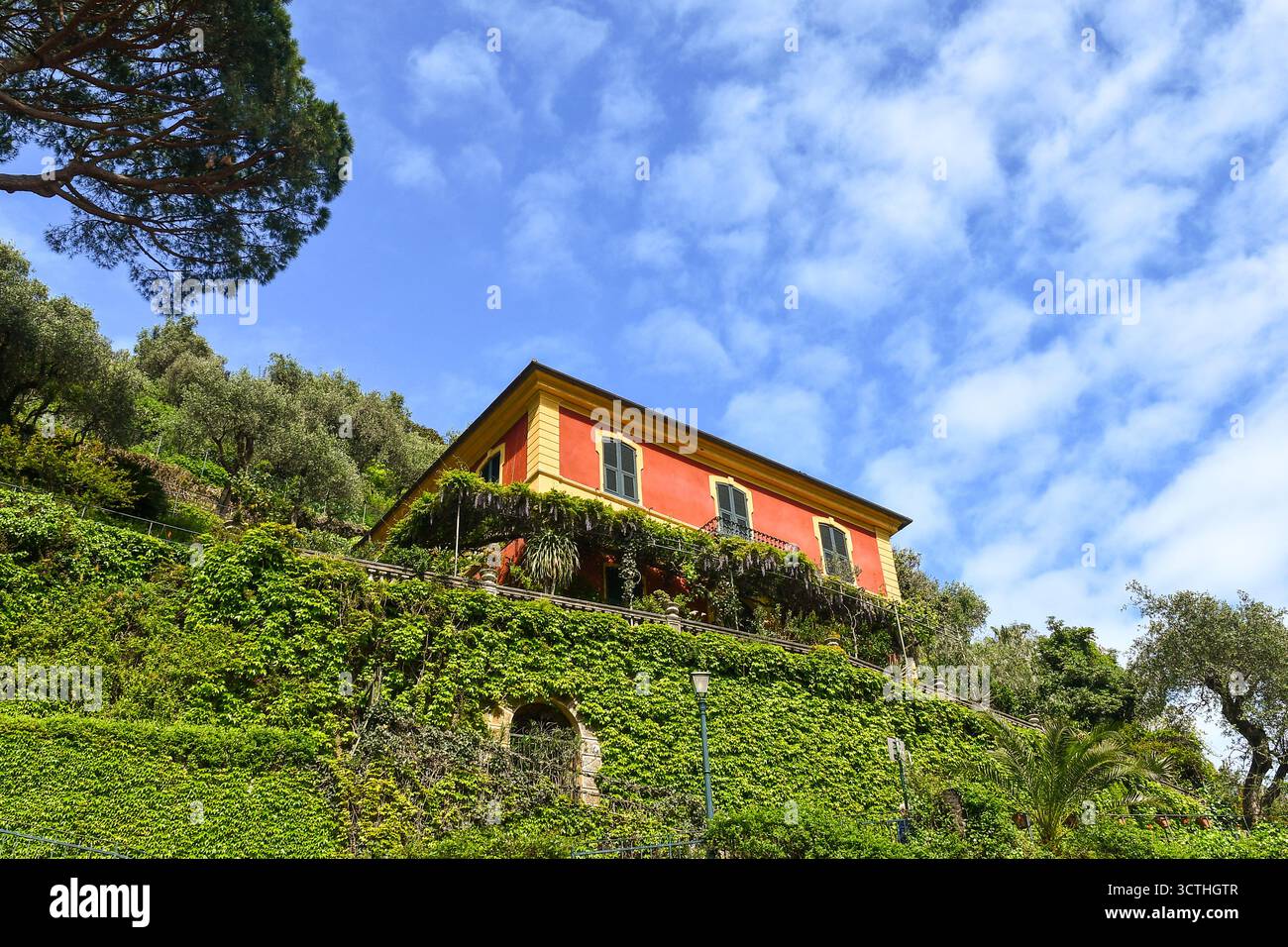 Vista dal basso di una colorata villa per vacanze con pergolato, situata su una ripida e lussureggiante collina che si affaccia su Portofino (Genova), Liguria, Italia Foto Stock
