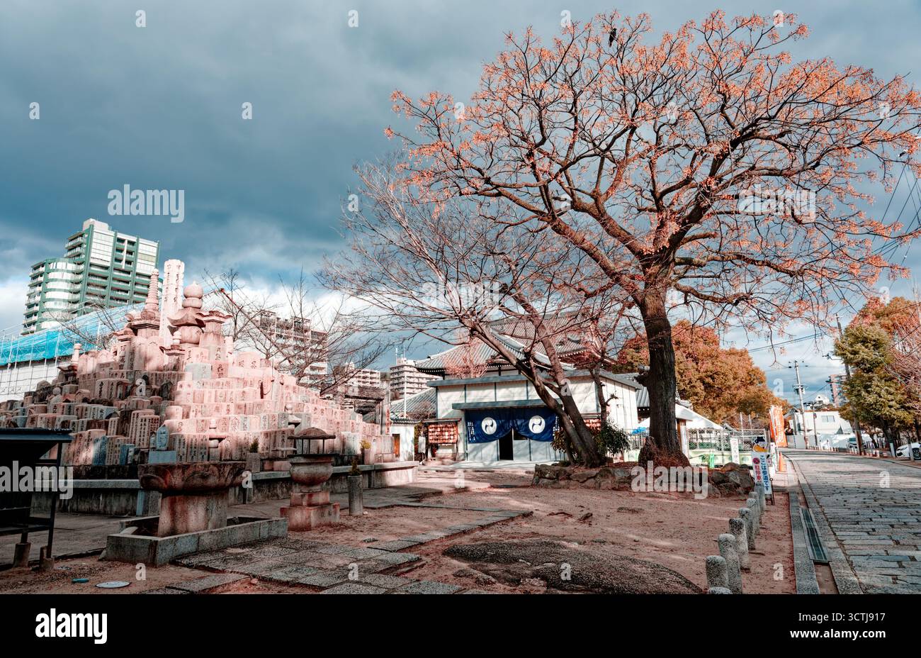 Cortile del Tempio di Osaka con monumenti in pietra e un albero senza fronzoli sotto un cielo minaccioso Foto Stock