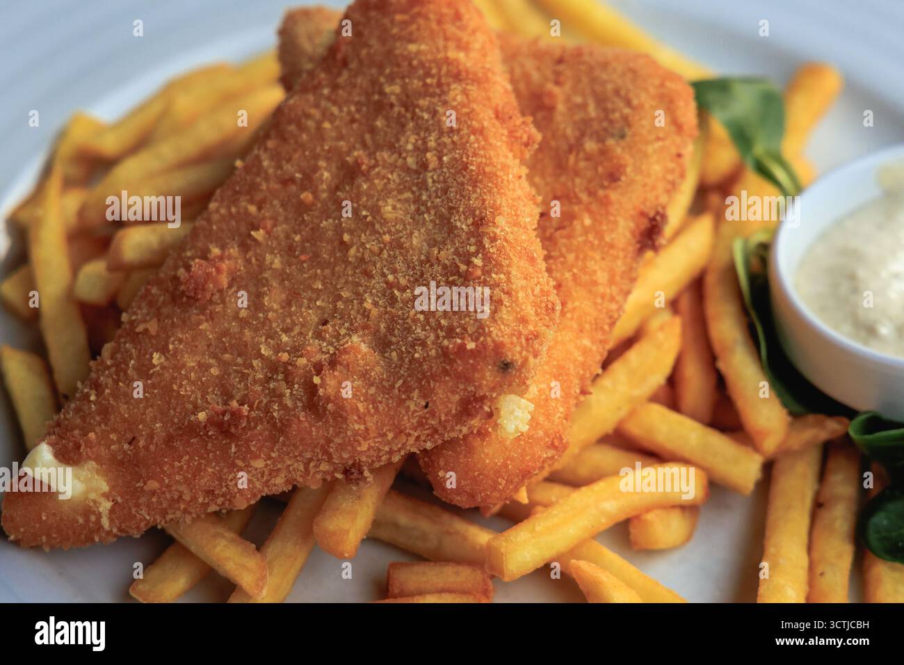 Smazeny syr - delicatezza ceca - formaggio fritto e patatine su un piatto Foto Stock