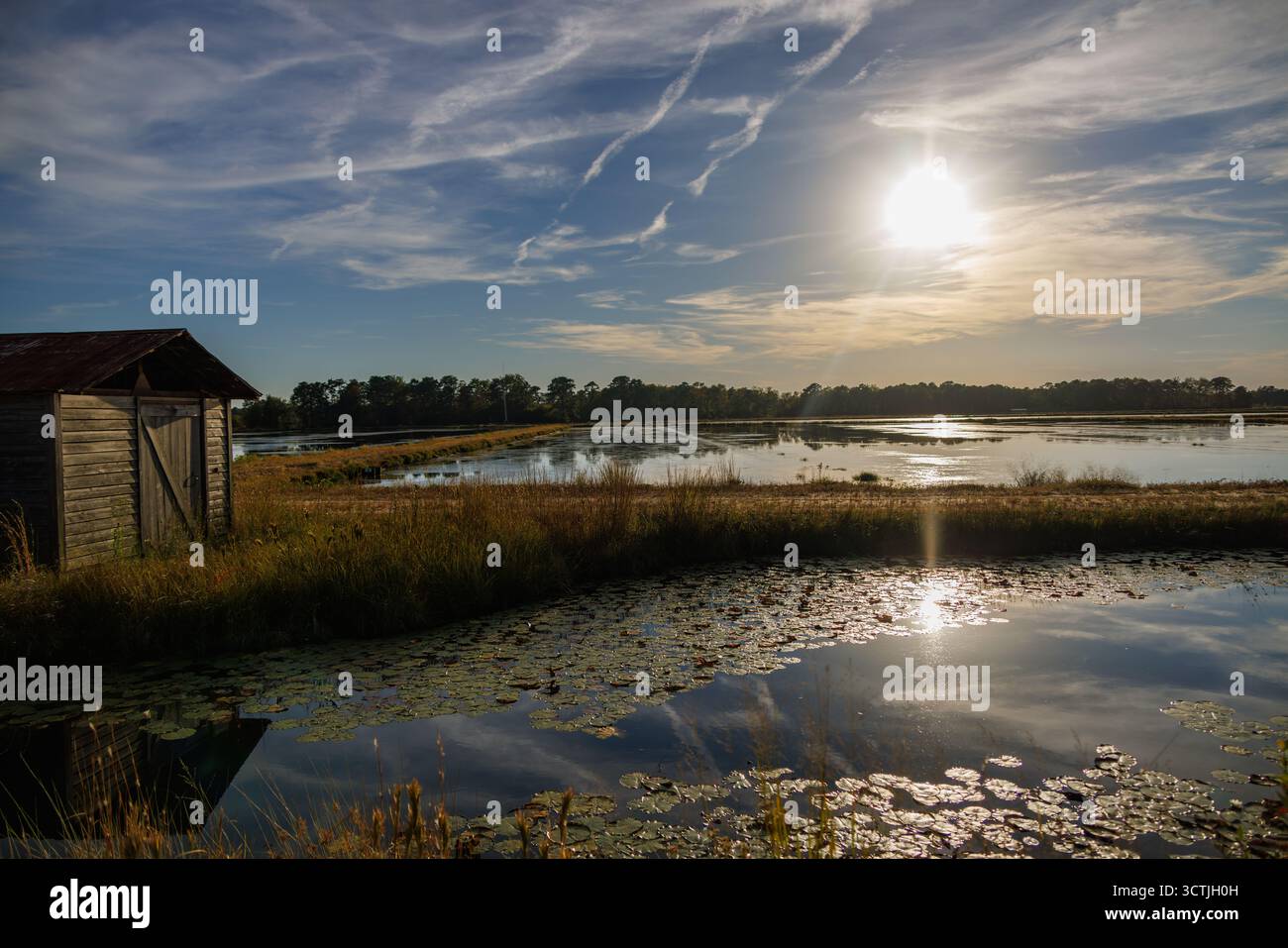 Capannone rustico accanto alle zone umide riflettenti al tramonto nel New Jersey Pine Barrens, catturando il fascino rurale e la serenità naturale. Foto Stock