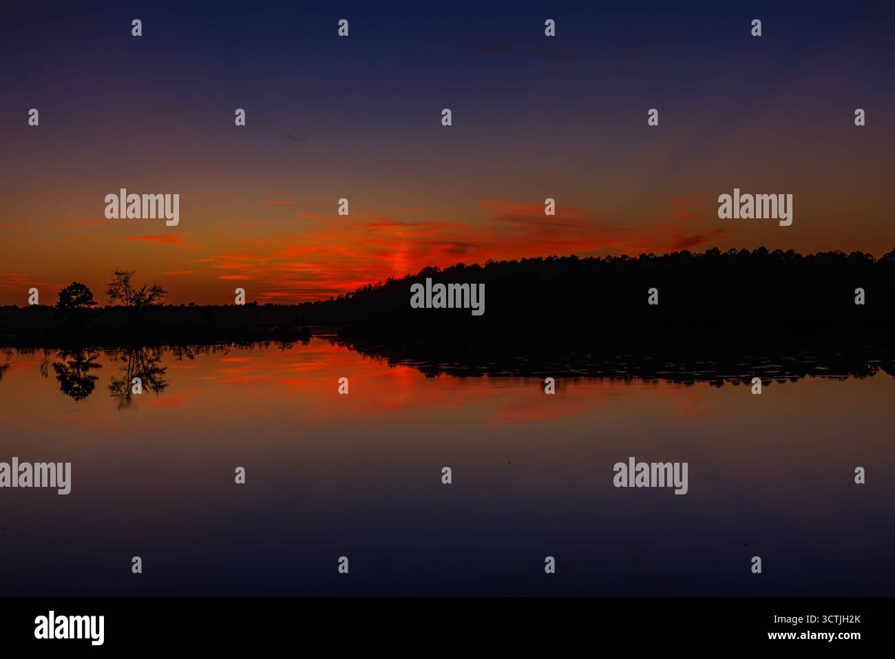 Tramonto vibrante sull'acqua ferma a Pine Barrens, New Jersey, Stati Uniti. Cielo rosso e viola intenso riflesso nel lago calmo al crepuscolo”. Foto Stock